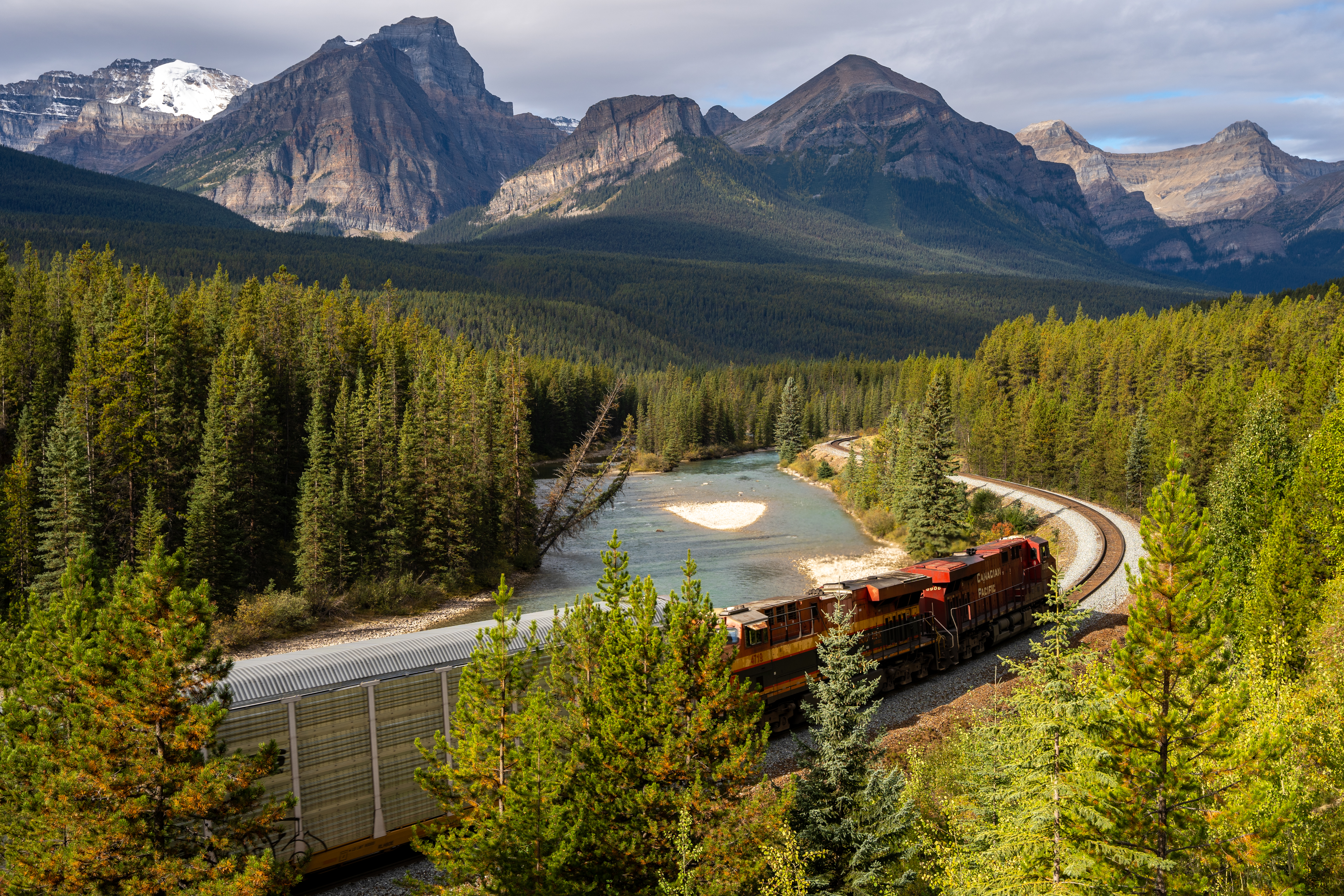 Morant's Curve