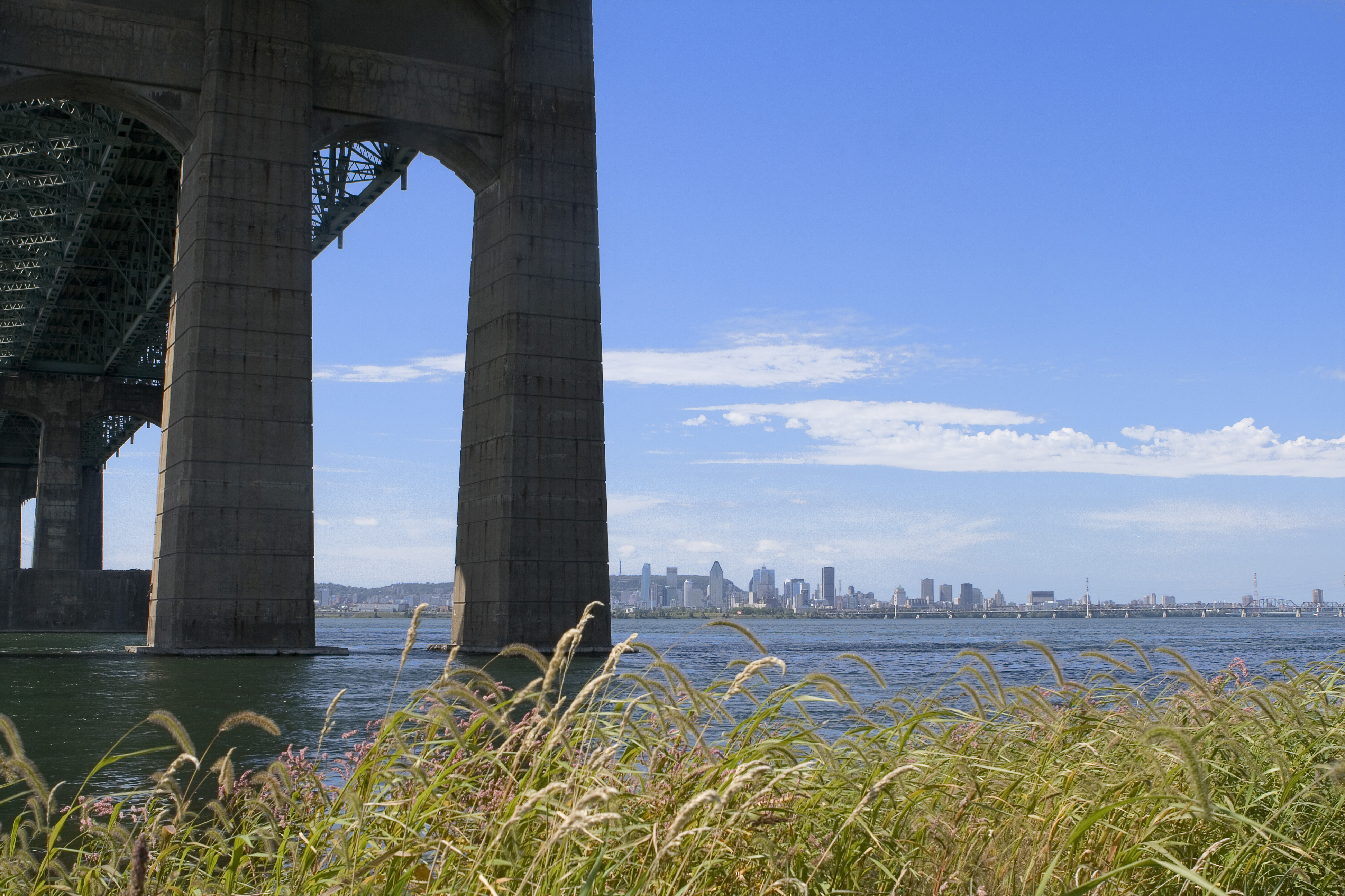 Under the Bridge