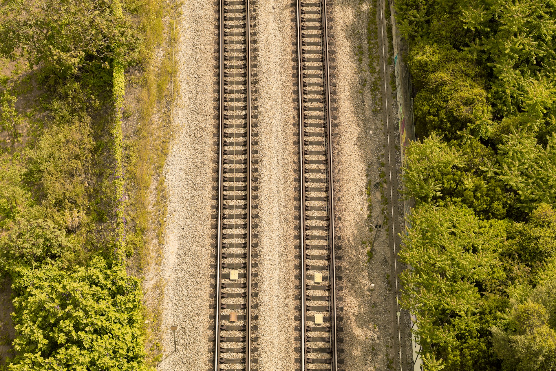 Aerial view of railroad tracks