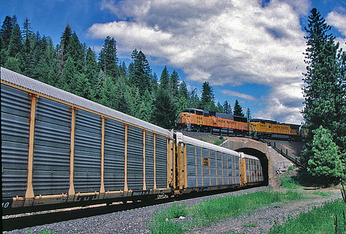 Williams Loop (Feather River)