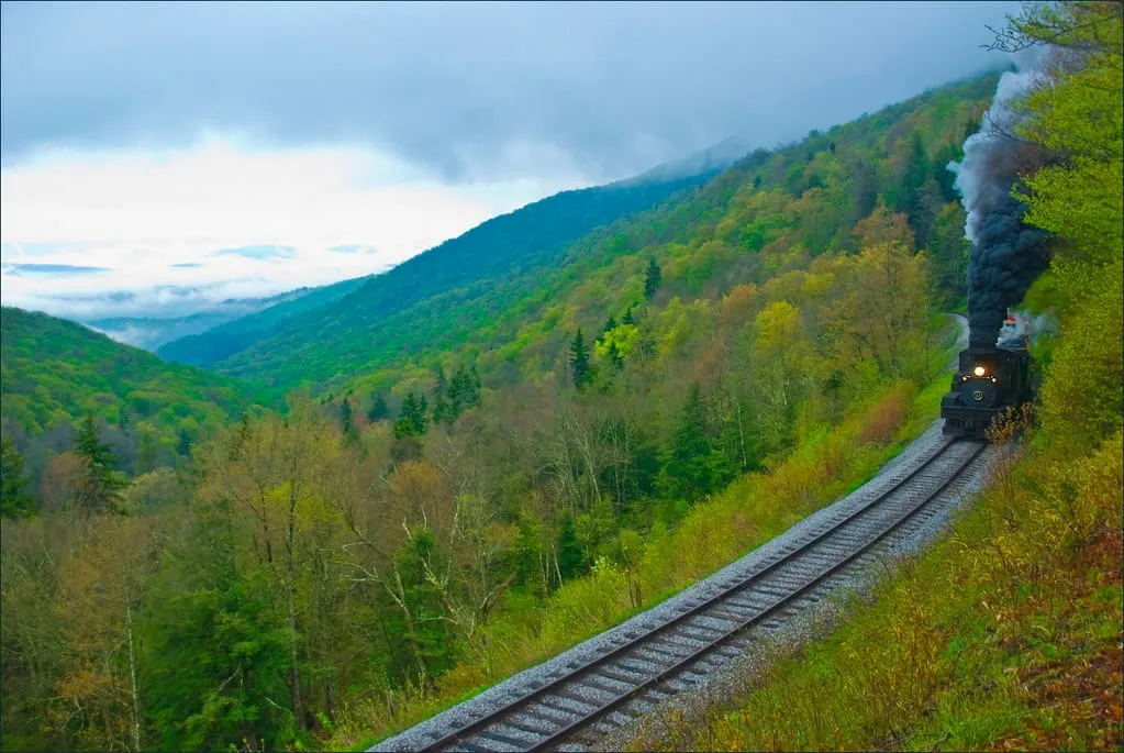 View from the Cass Scenic Railroad (WV) May 2013